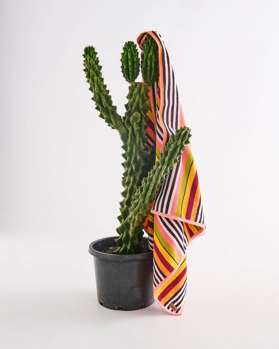 Casablanca Stripe Terry Beach Towel - Kip & Co.