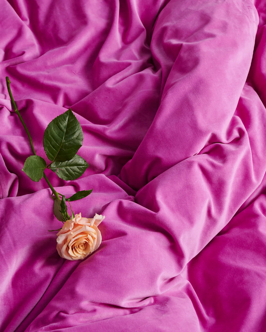 Super Pink Velvet European Pillowcase Set - Kip & Co.