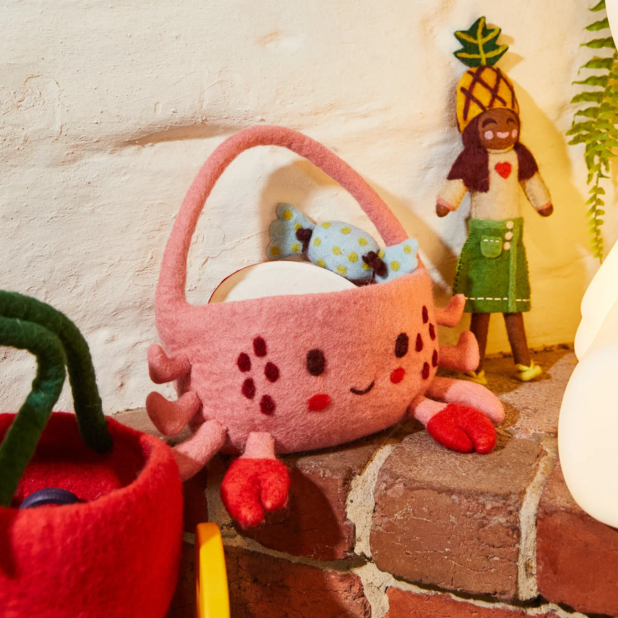 Dante Felt Basket - Sage & Clare